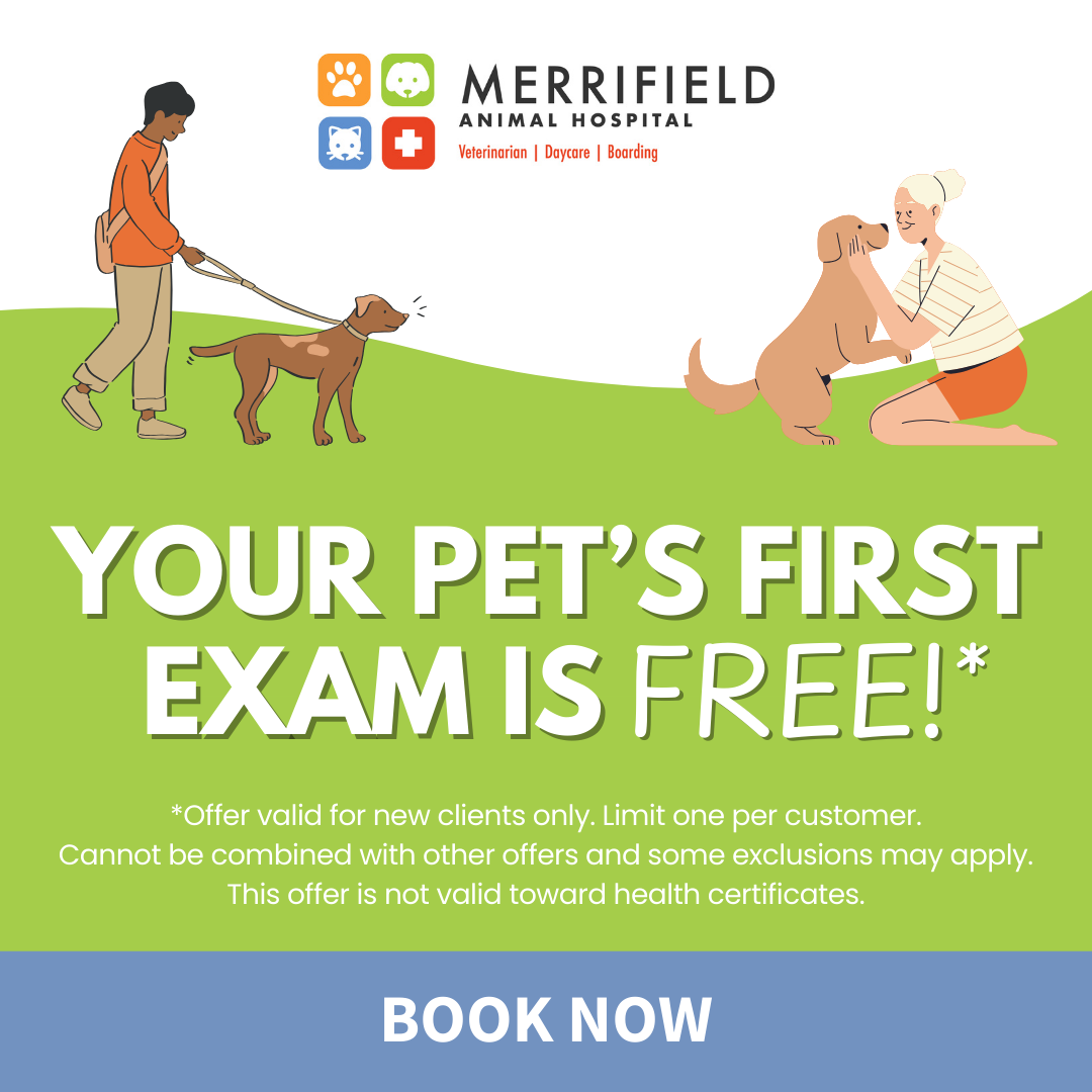 Fairfax Pet Hospital
