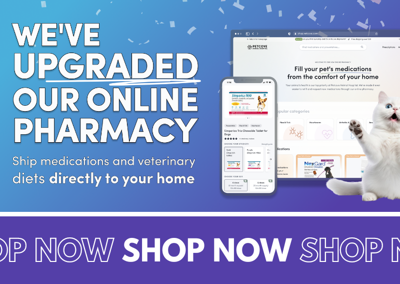Carousel Slide 5: We've updated our online pharmacy!